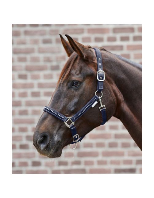 Waldhausen Halter Crystal Antraciet - Paardenhalster