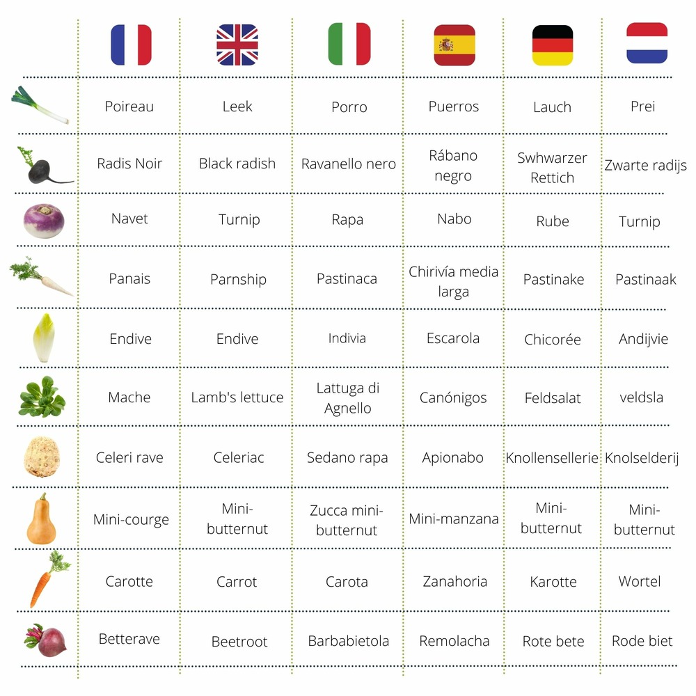 Cultivea kit prêt à pousser petit potager saveurs hivernales - poireaux, carottes, navet, radis, endive, betterave
