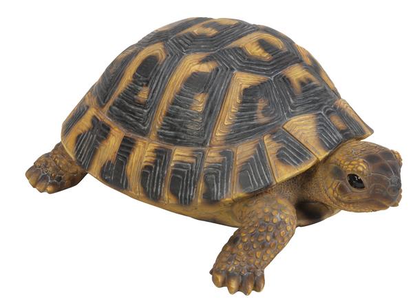 Dehner Polyresin-Landschildkröte