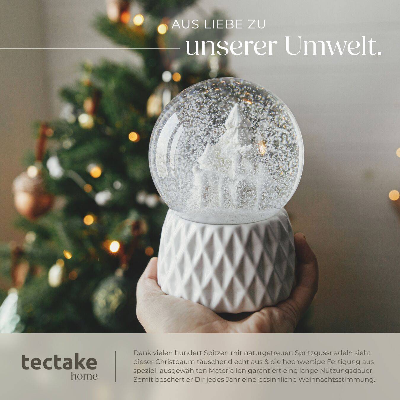 Weihnachtsbaum