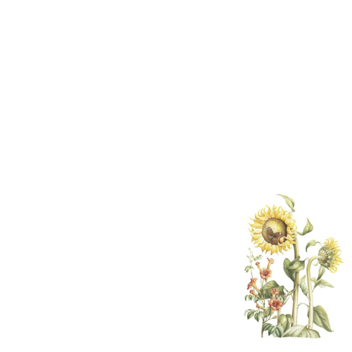 Zonnenbloemen