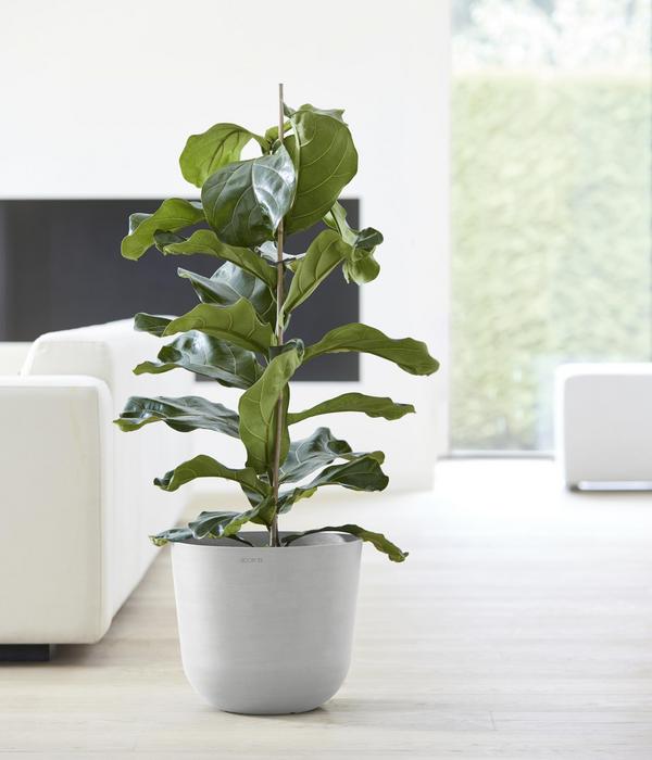 Ecopots Kunststoff-Topf Oslo mit Wassersystem,