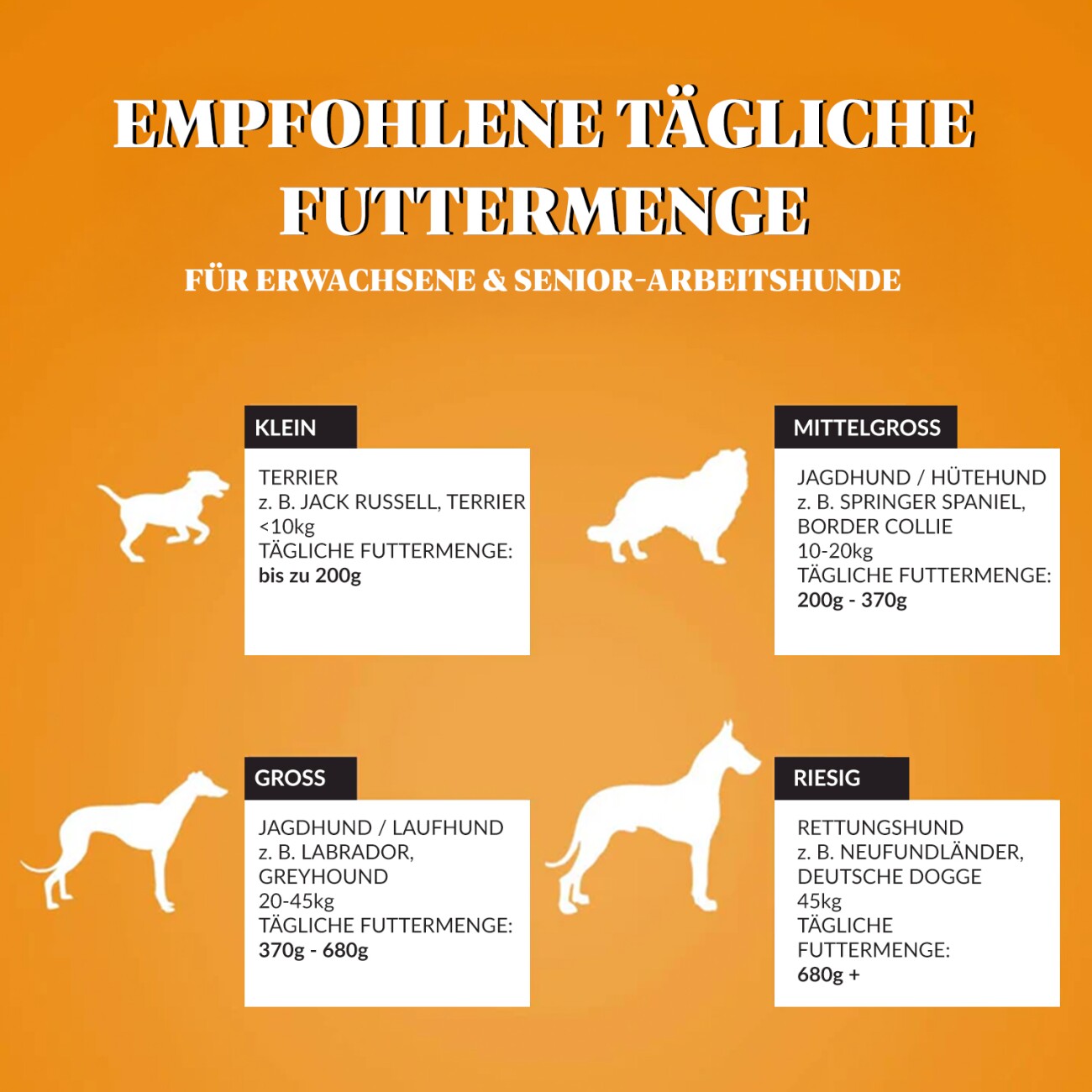 Dr John Gold Trockenfutter Huhn und Gemüse 15 kg