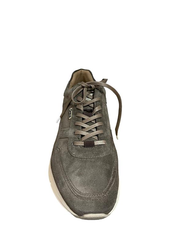 Greve 7280 Walker taupe [05 3246 taiga]