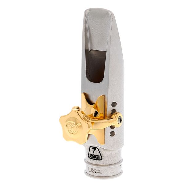 Theo Wanne Mindi Abair II Alto 7