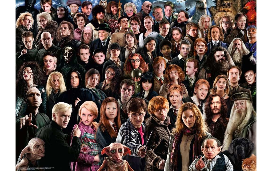 Puzzle Challenge Harry Potter 1000 TeileKinderpuzzle mit Premium-Qualität