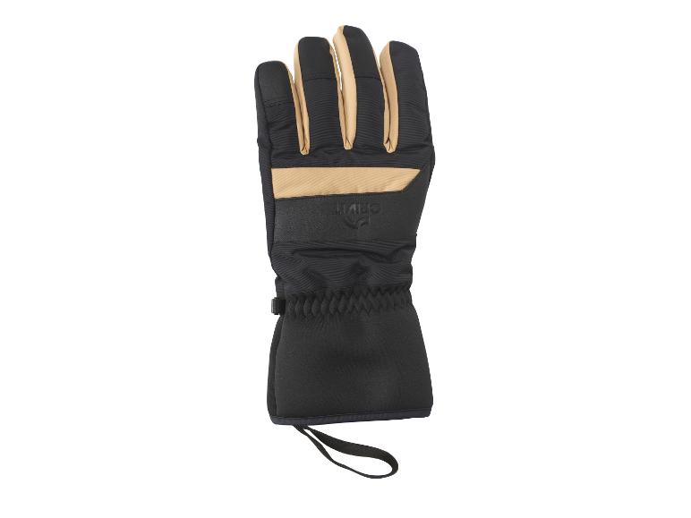 Skihandschoenen Premium