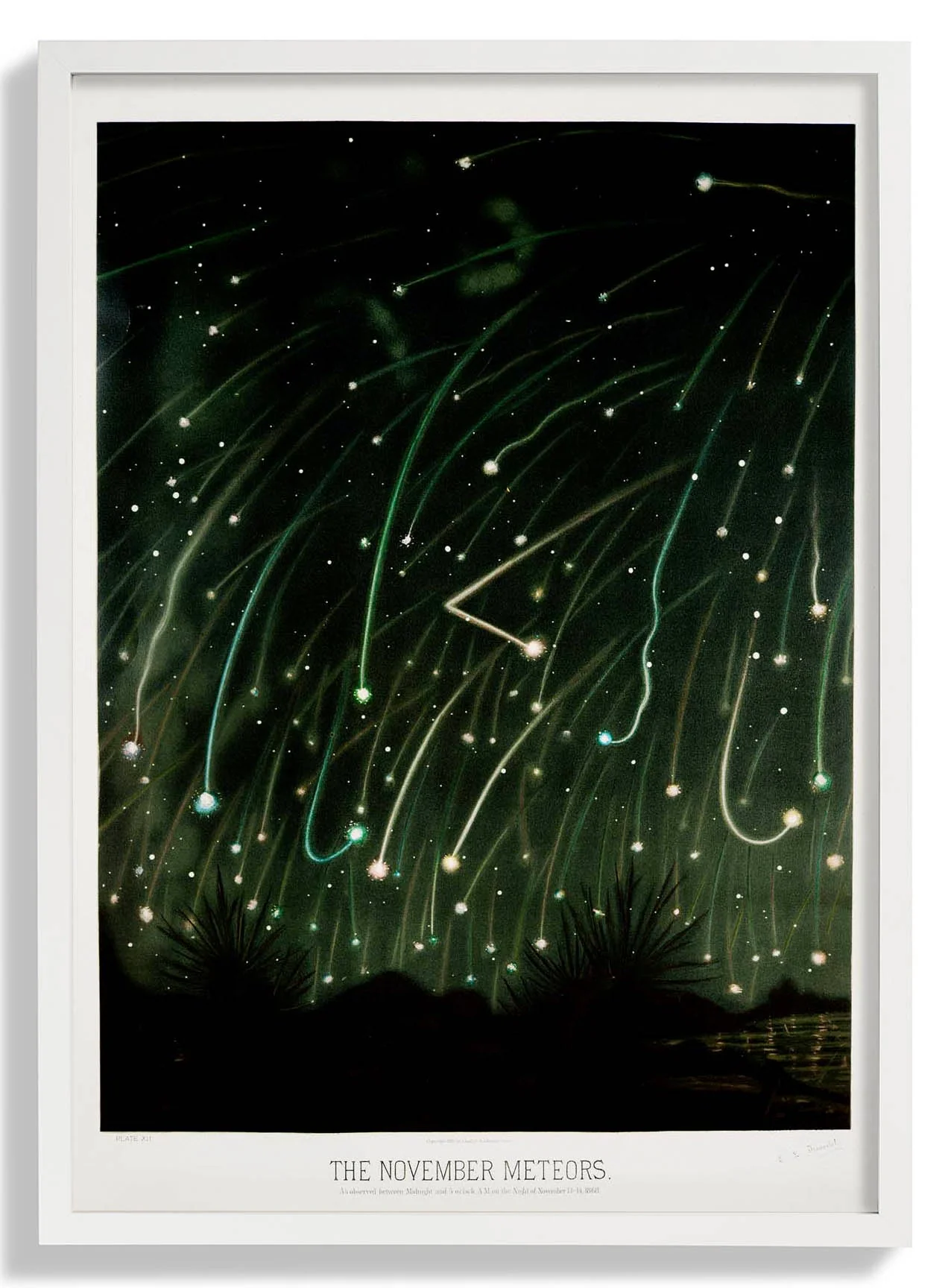 November-Meteore von Trouvelot