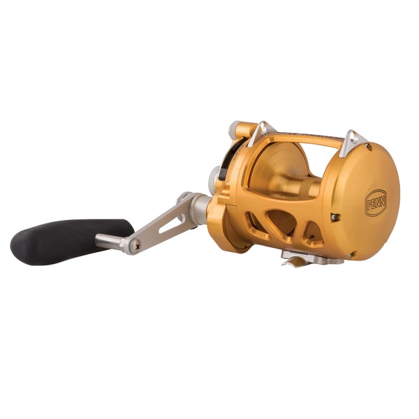 Moulinet Mer PENN International VI SW Gold