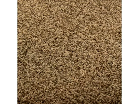Paillasson lavable Marron 40x60 cm