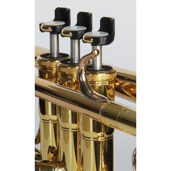 easyFingers Valve Clips Variant D