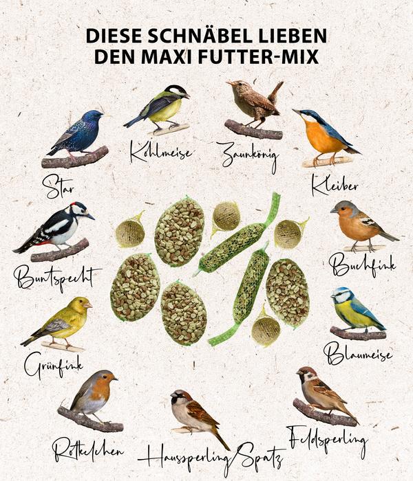 Dehner Natura Premium Wildvogelfutter Maxi