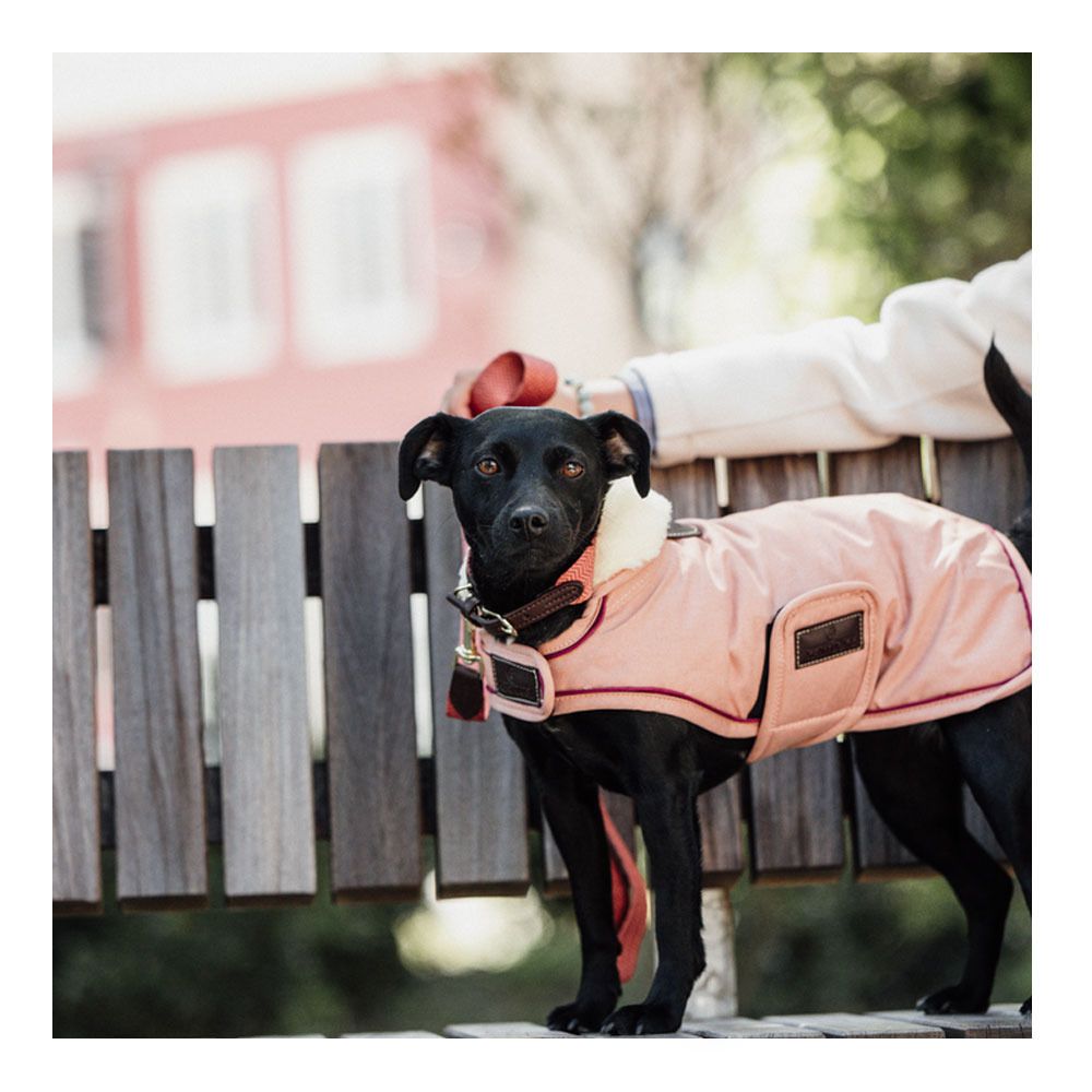 Kentucky 52244 160G - Couverture pour chien coral