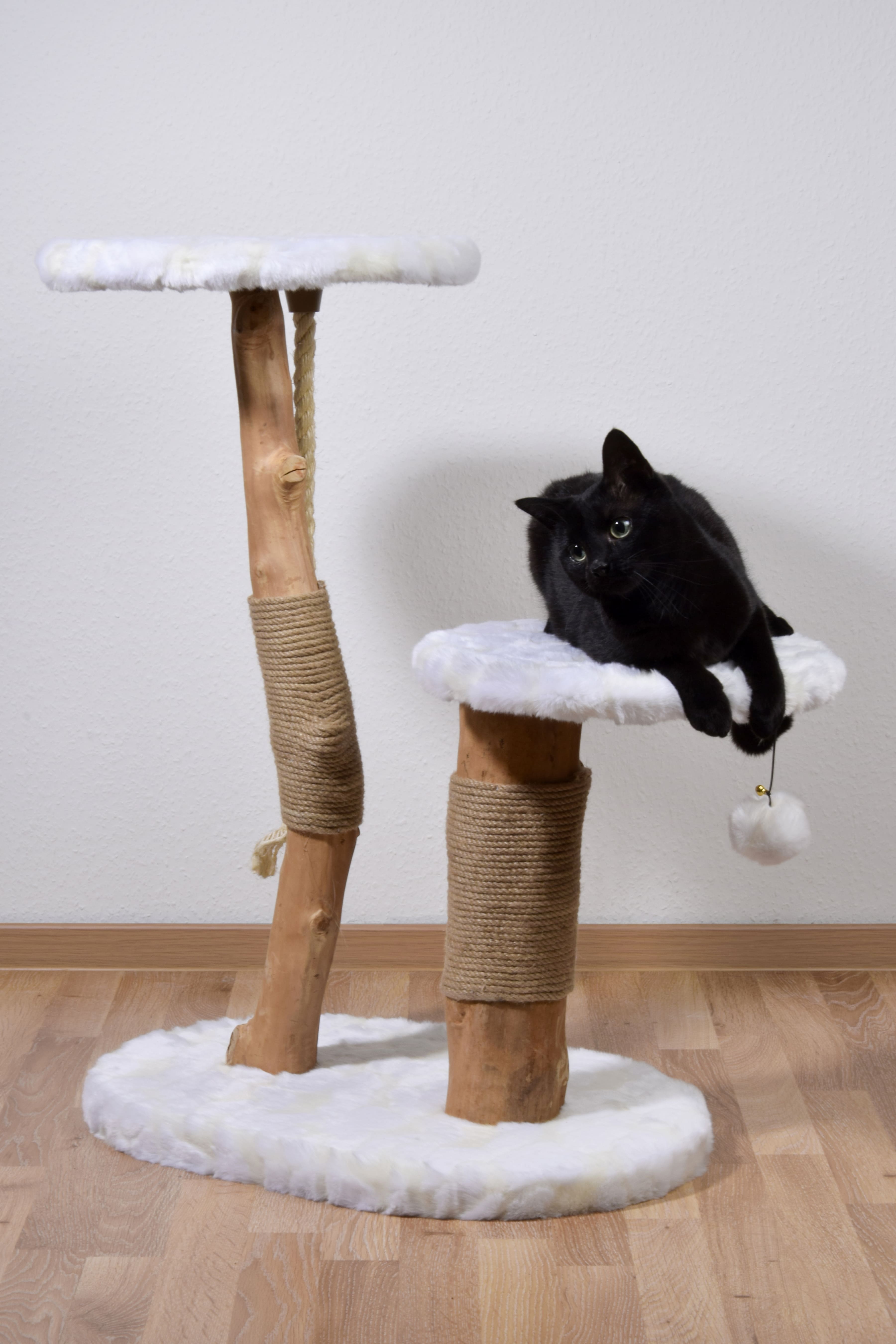 Design-Katzenmöbel 