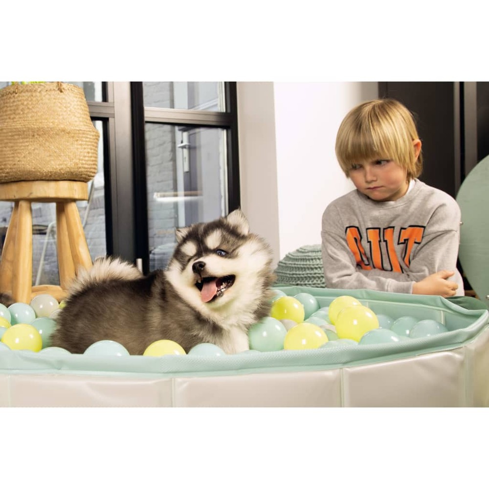 Piscine à balles pour chiots funchie
