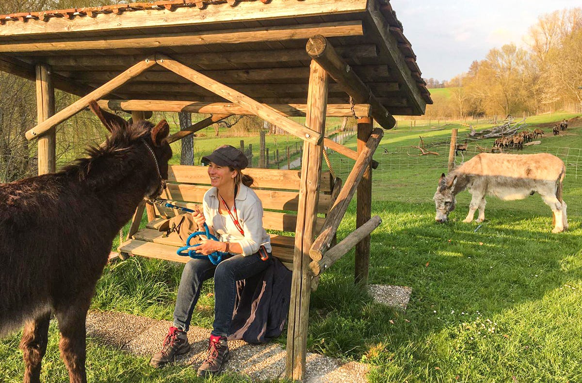 Eselwanderung für 2 Fichtenau