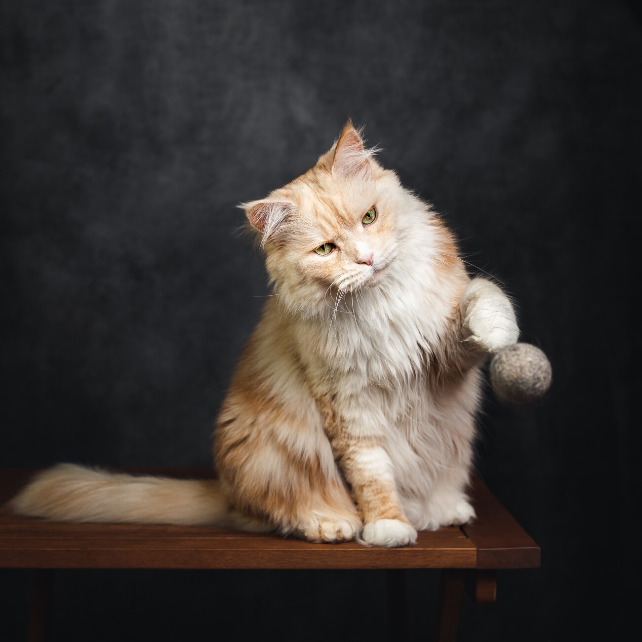 Catlabs Katzenspielzeug Flinke Filzbälle aus Schafwolle 2er Pack