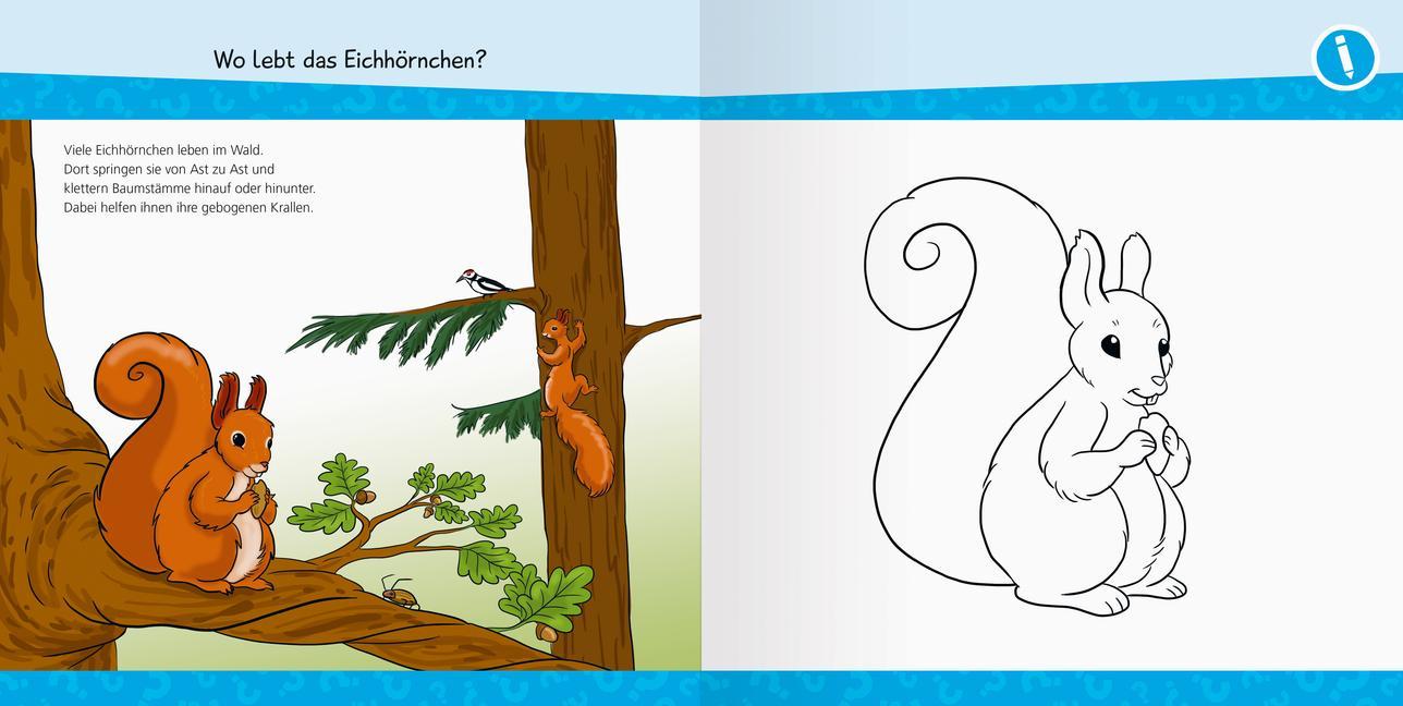 Wieso? Weshalb? Warum? junior AKTIV: Unsere Natur