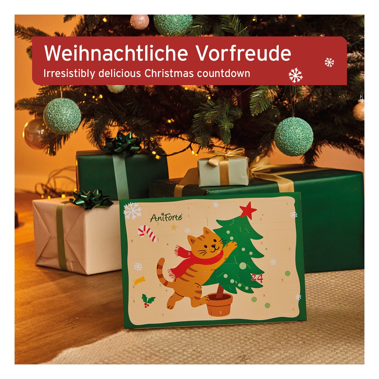 AniForte Adventskalender 2025 für Katzen