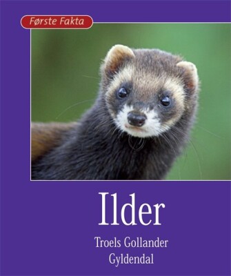 Ilder - Troels Gollander - Bog