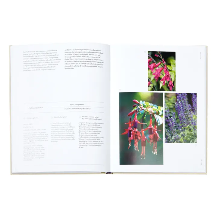 Phaidon Jardiner au rythme des saisons : Conseils pour associer les plantes - FR