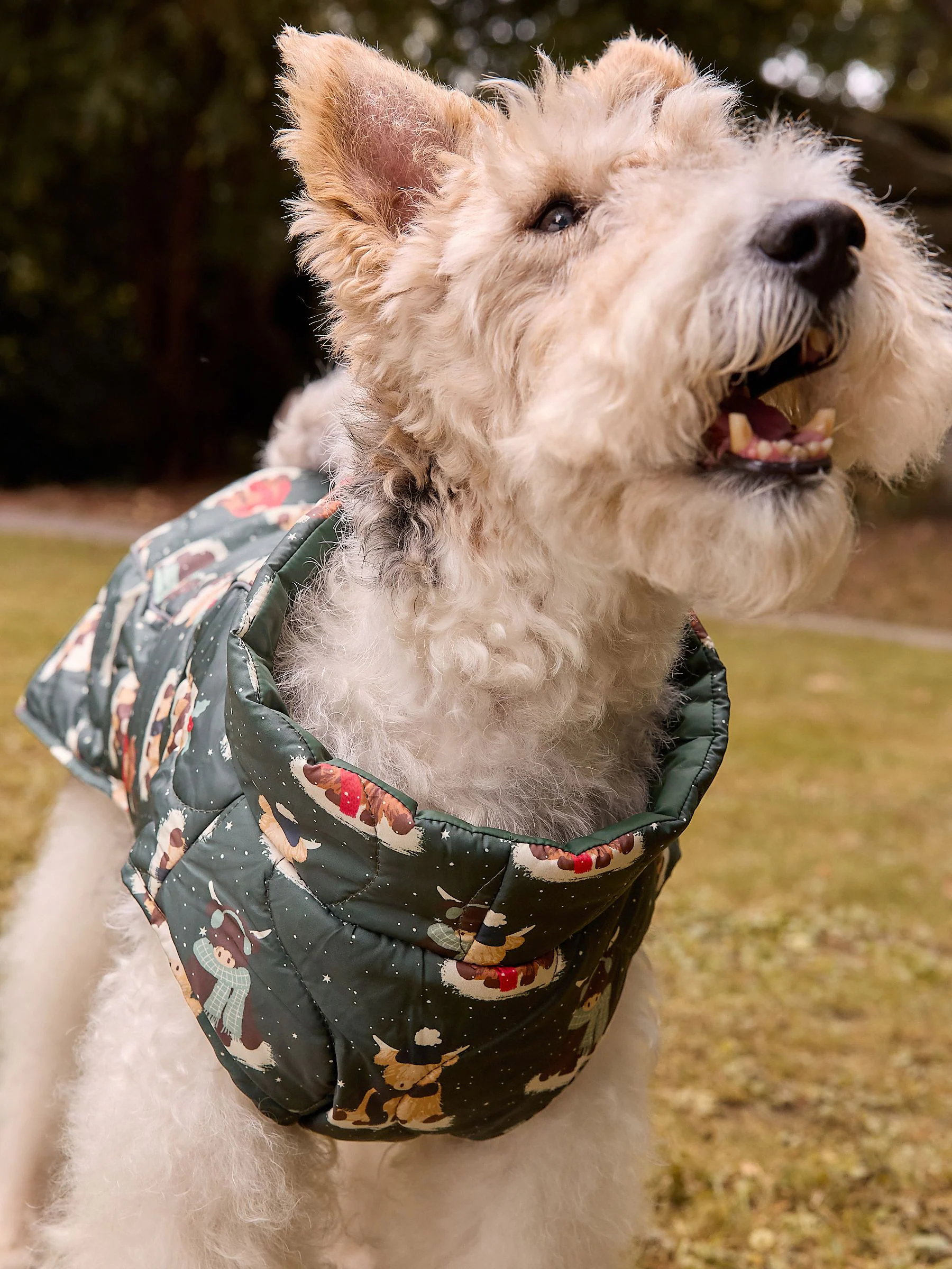 Hamish Print. - Kerstmis Gewatteerde Hondenjas