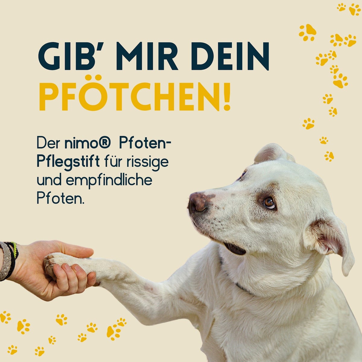 nimo® Paw Care Stick • Pootbalsem met bijenwas en propolis voor de bescherming en verzorging van de poten