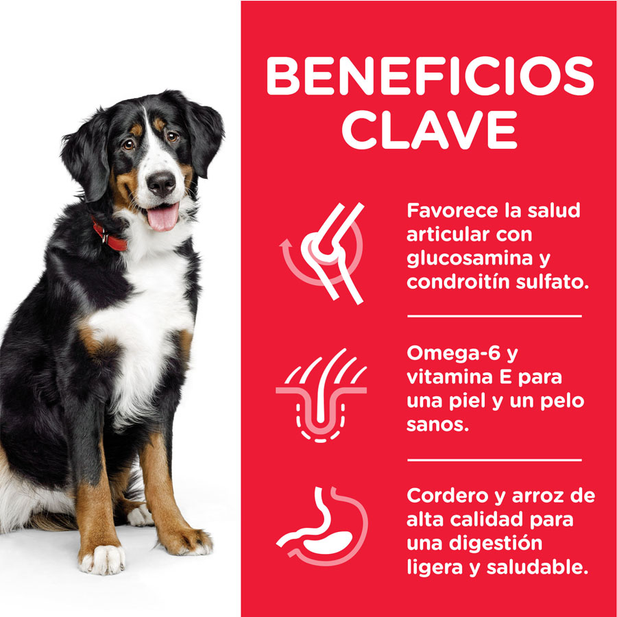 Ração Hill's Science Plan para Cães Adultos de Porte Grande com Cordeiro