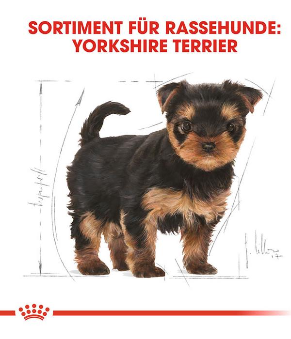 ROYAL CANIN® Trockenfutter für Hunde