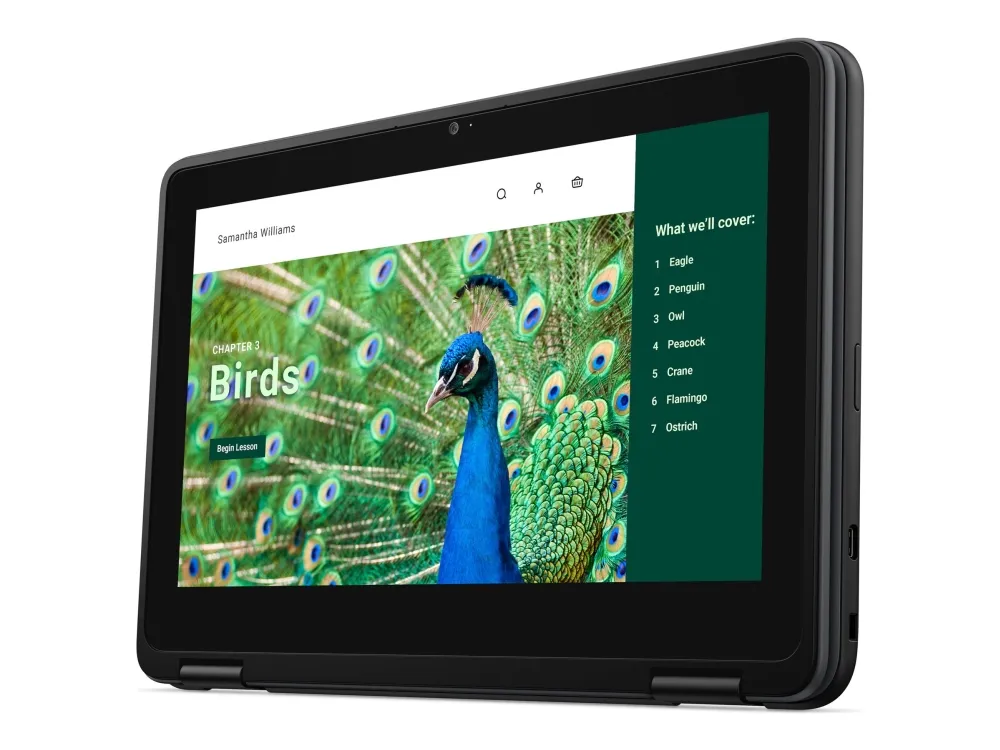 Dell Chromebook 3120 (2024) - Intel N-series - N100 / op til 3.4 GHz - Chrome OS - UHD Graphics - 4 GB RAM - 64 GB eMMC - 11.6