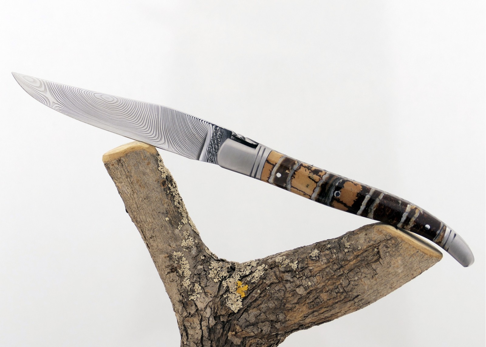 Couteau Laguiole avec un manche en Molaire de Mammouth Fossile