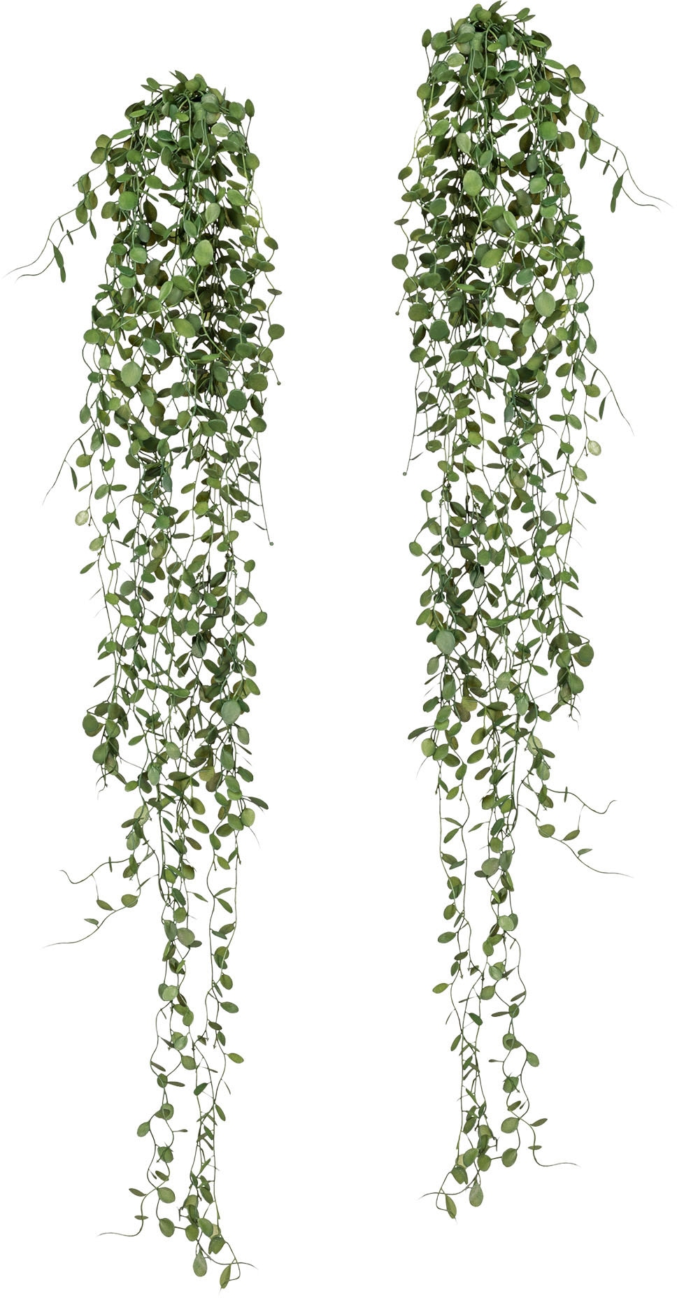 Creativ green Kunstranke »Mühlenbeckia-Hänger« 2er Set