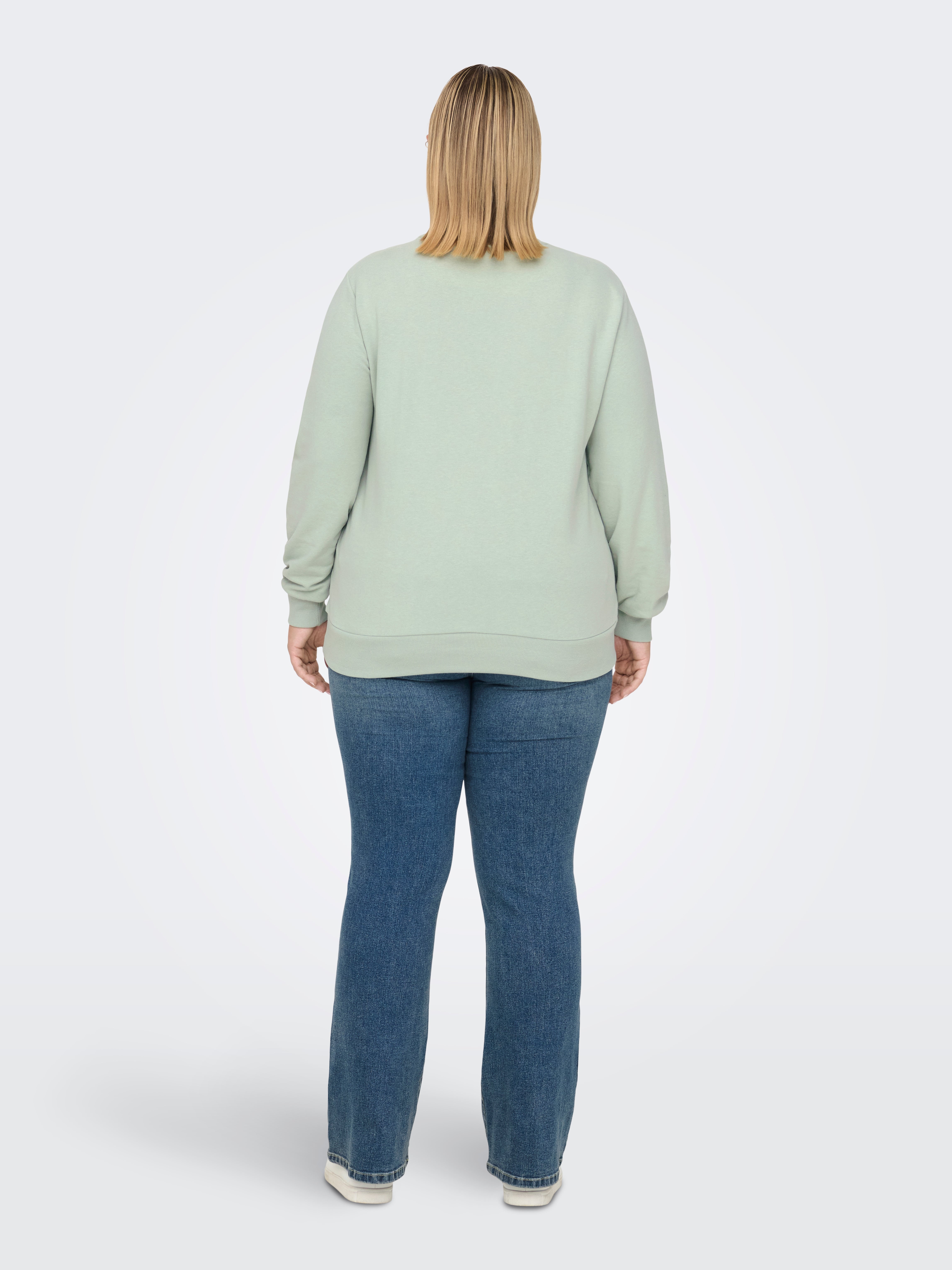 CARVANNA Sweatshirt Aqua Gray