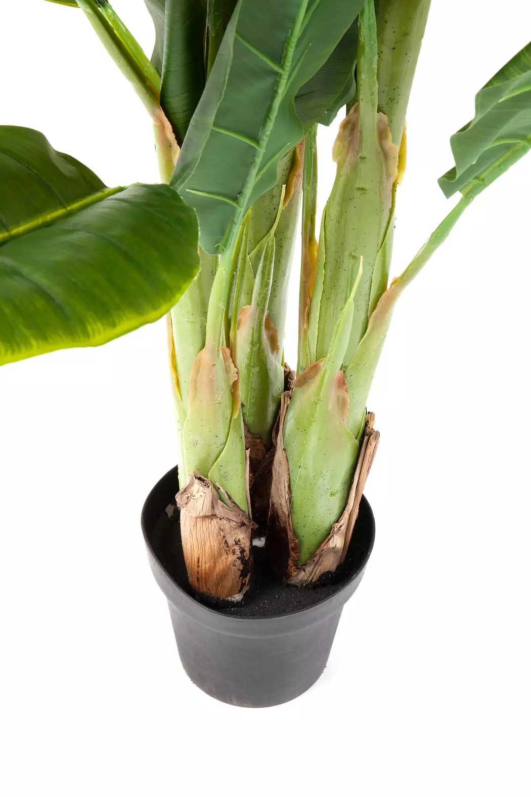 Deko Pflanze 64003 Banana Tree