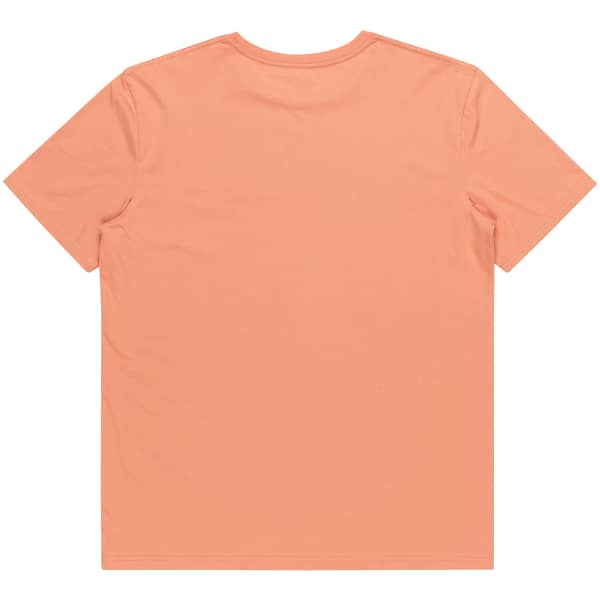 T-shirt QUIKSILVER TRADESMITH TEE CANYON CLAY