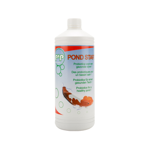 PIP Pond