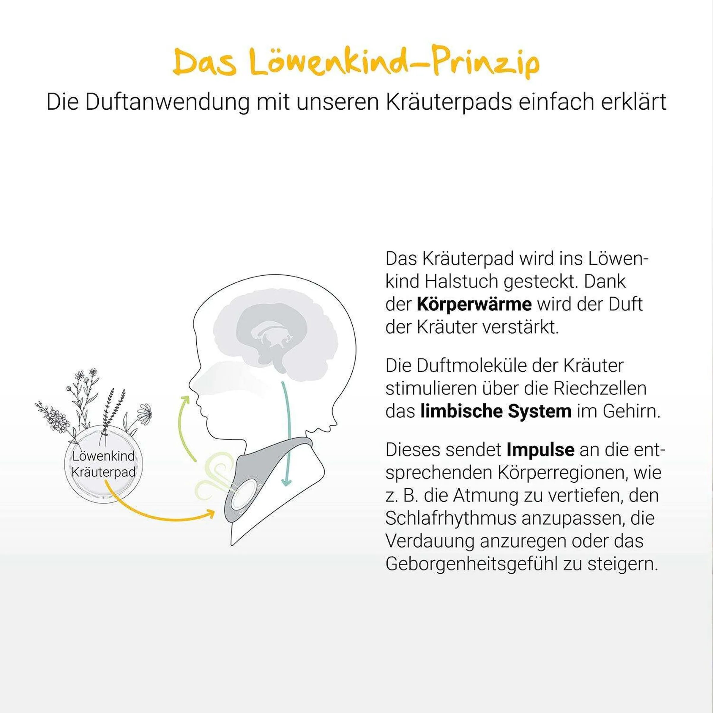 Löwenkind Startklar-Set Pistazie