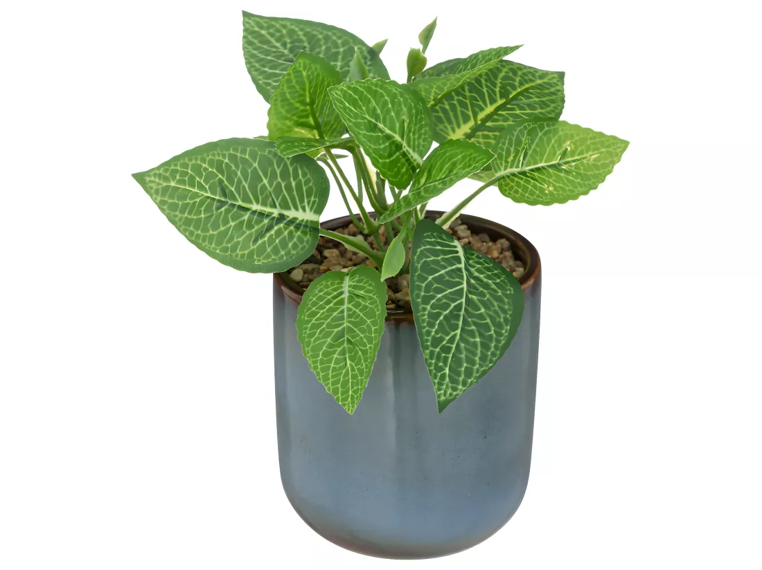 Plante verte artificielle Pot en céramique Bleue émaillée H 16 cm