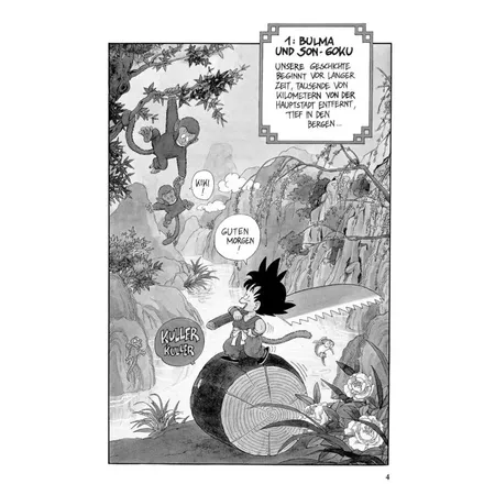 Carlsen Verlag Dragon Ball 1 Geheimnis
