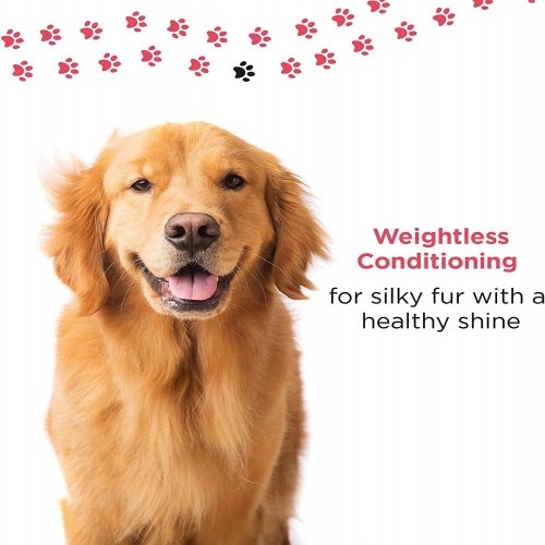 Máscara suavizante para cães com aroma de rosas da PETUCHI.