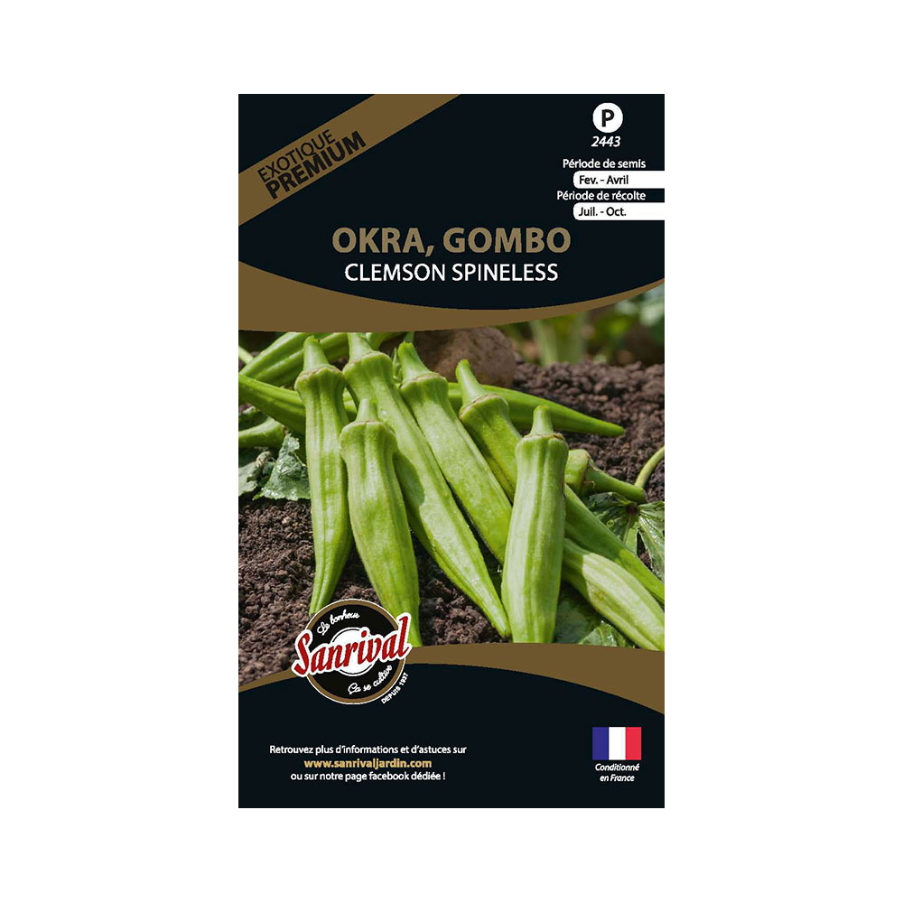 Graines potagères premium okra gombo