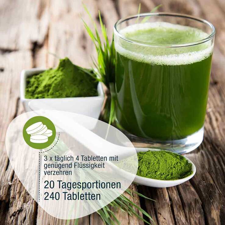 Gerstengras 500 mg Bio Tabletten, 240 St