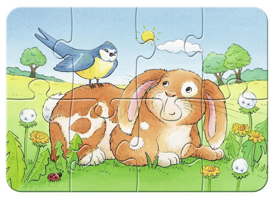 My first puzzles – Niedliche Haustiere 2/4/6/8-teilig