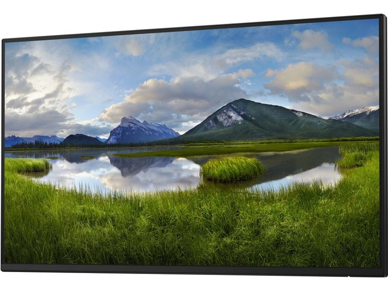 Dell Monitor P2425H WOST ohne Standfuss 23.8