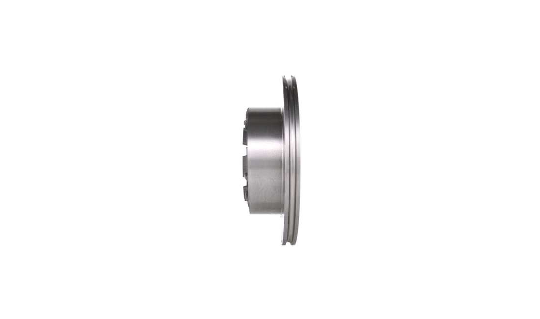 Bremseskive 289 x 22 mm