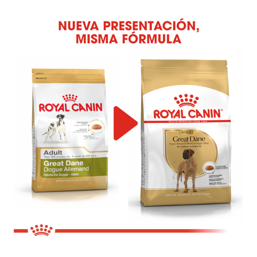 Ração Royal Canin Adult Great Dane para cães