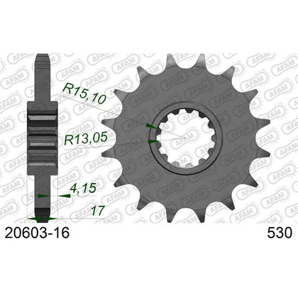 Kit chaine AFAM 530 Type Acier origine