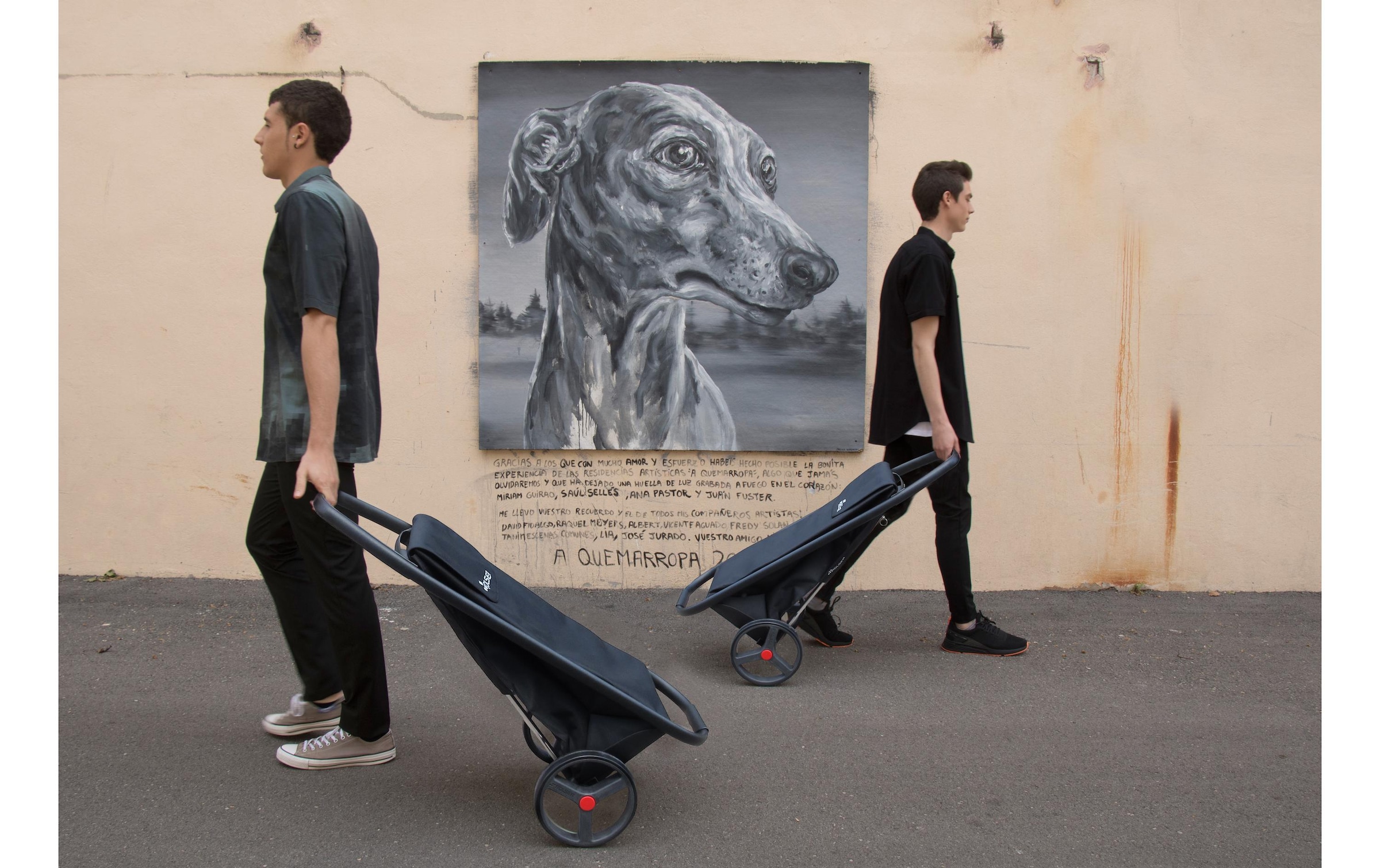 Rolser Einkaufstrolley »COM8 MF«