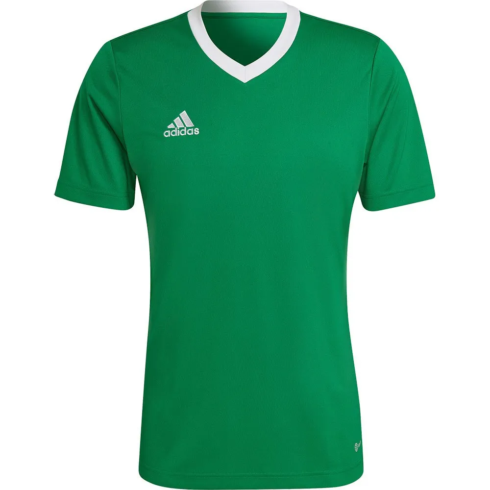 Camiseta de manga curta adidas Entrada 22