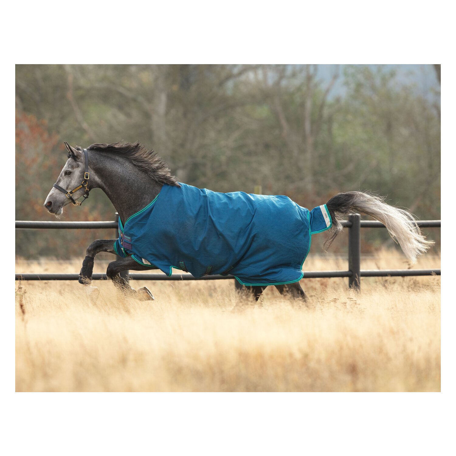 HORSEWARE Outdoordecke RHINO Original Tournout Lite - navy/aqua/grey & aqua